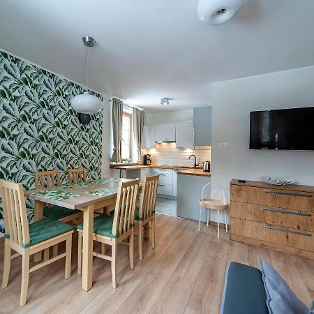 Apartamenty Sun & Ski Willa Nad Strumieniem Nadrzeczna 3D I 3E - Centrum 300M 卡尔帕奇 外观 照片