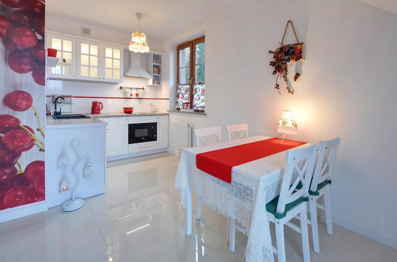 Apartamenty Sun & Ski Willa Nad Strumieniem Nadrzeczna 3D I 3E - Centrum 300M 卡尔帕奇 外观 照片